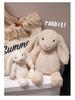 Lop-Eared Rabbit Plush Toy Doll – Children's Comfort and Birthday Gift