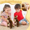 Plush Toys, Cute And Perfect Birthday Gifts For Friends And Classmates, Graduation Gifts