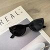 Cute Sexy Retro Cat Eye Sunglasses Woman Small Frame Black Gradient Ladies Sun Glasses Vintage Brand Designer