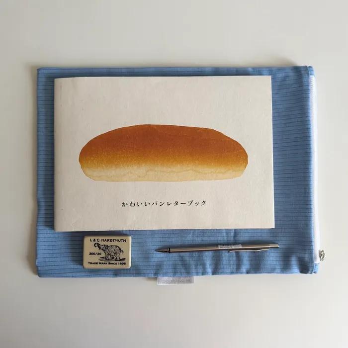Sky Pinstripe Book Pouch