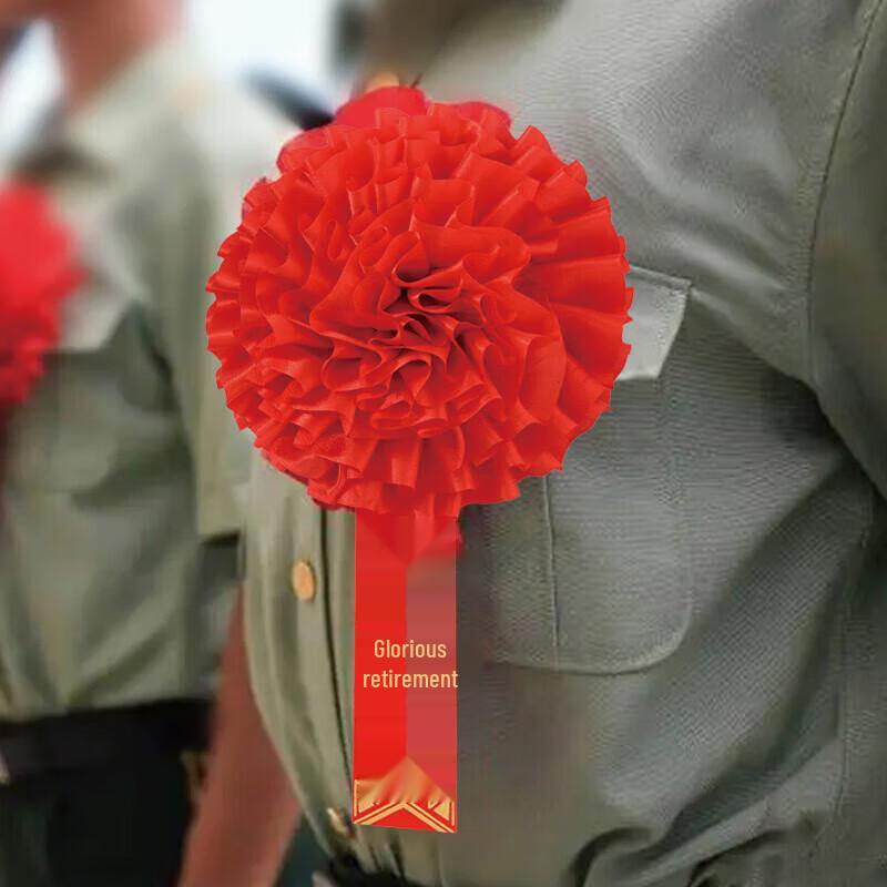 

Deaite Commendation Brooch & Sash