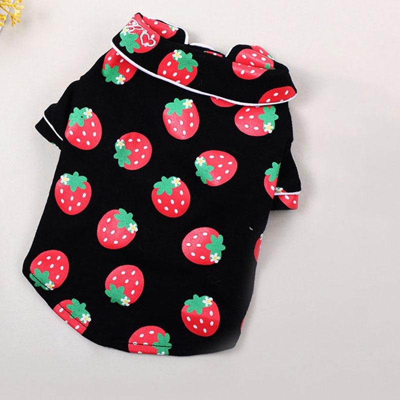 Spring Cat Costume Cute Cozy Pet Clothes for Cats Katten Kedi Hoodie Mascotas Gato Sweatshirt Cat Sweater Pets Clothing Outfit