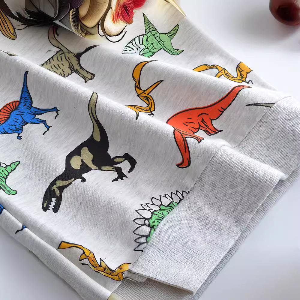 Children's Cartoon Cotton Hoodie – Boys' Long-Sleeve Autumn Wear