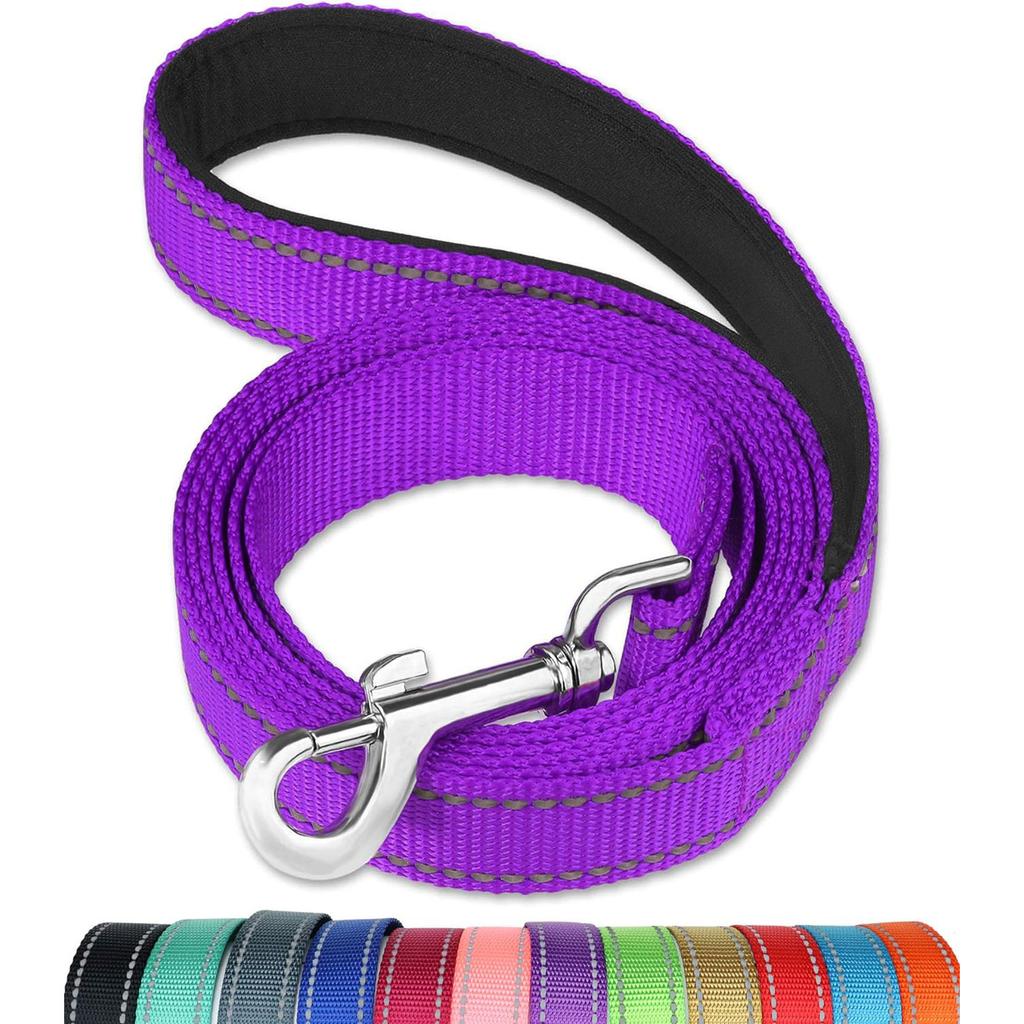 Reflective Dog Leash - Soft Padded Handle for Comfortable Training and Walking - Ideal for Medium and Small Dogs - High Visibili