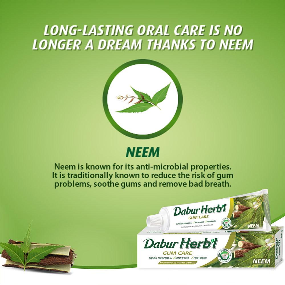 Dabur Herb'l Toothpaste Neem 150g + FREE Toothbrush
