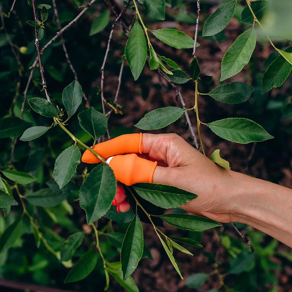 Fruit , pepper , garlic peeler, green pincher, thumb vegetable , silicone thumb knife glove, thumb knife for picking vegetables.