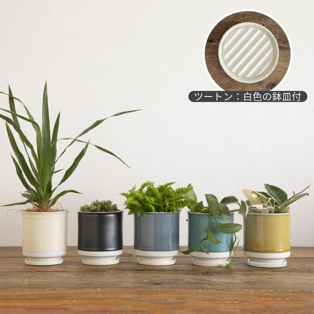 Leaf88 Hergestellt in Japan Hasami Ware Blumentopf mit Größe und Untertasse, 10,5x10,5cm, 3.5 (Türkisweiß)