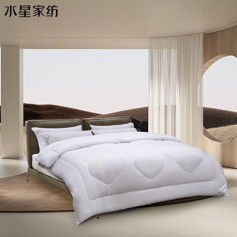 

Mercury Dusan Antibacterial All-Season Quilt