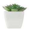 MidOcean Artieche Polypropylene Echeveria Mini Artificial Plant