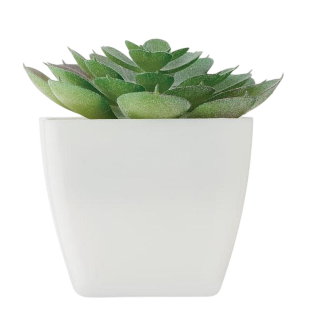 MidOcean Artieche Polypropylene Echeveria Mini Artificial Plant