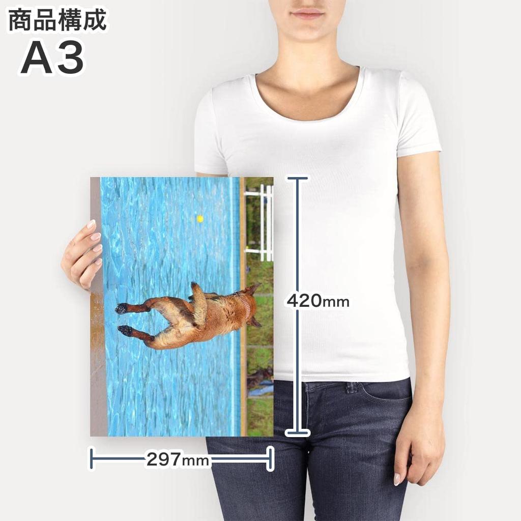 Art Panel Painting Decoration igsticker 420mm x 297mm A3 Photo Wall Hanging Wooden Frame Interior Stylish 025713 Pool Dog Animal