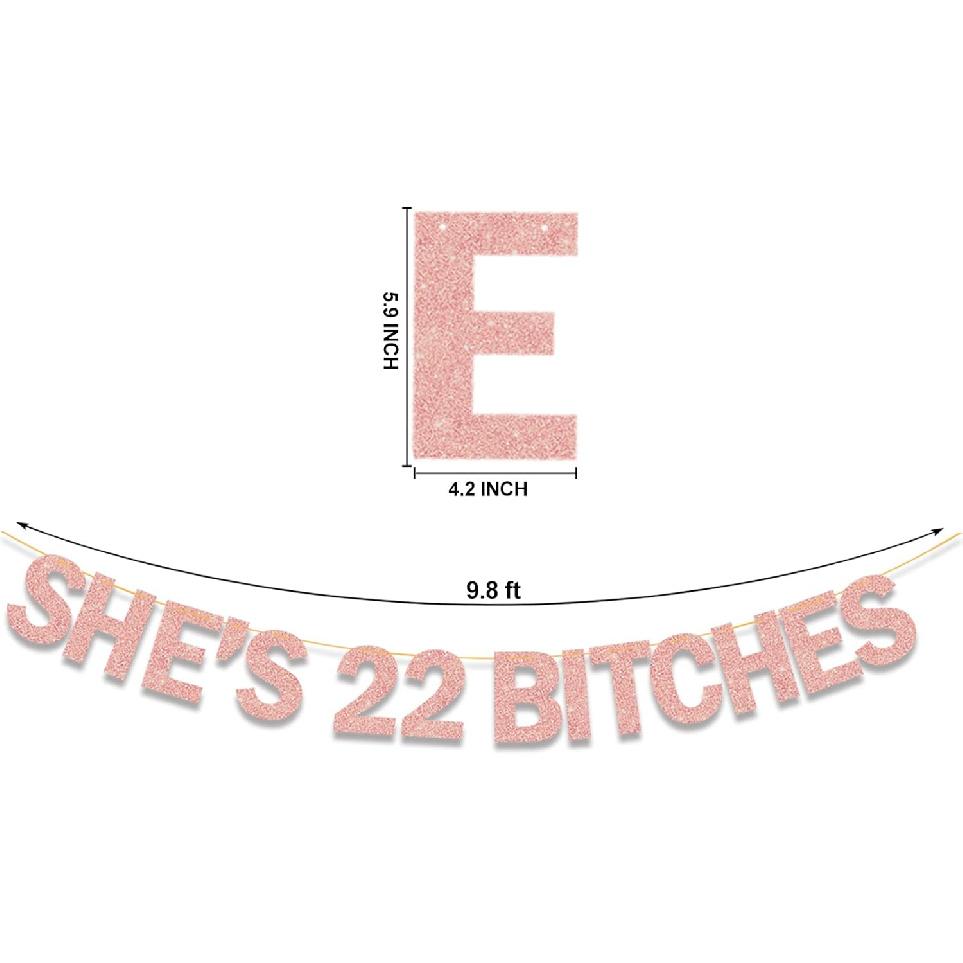She's 22 Bitches Banner 22nd Birthday Decorations for Women, Funny Glitter 22nd Birthday Banner, Rose Gold