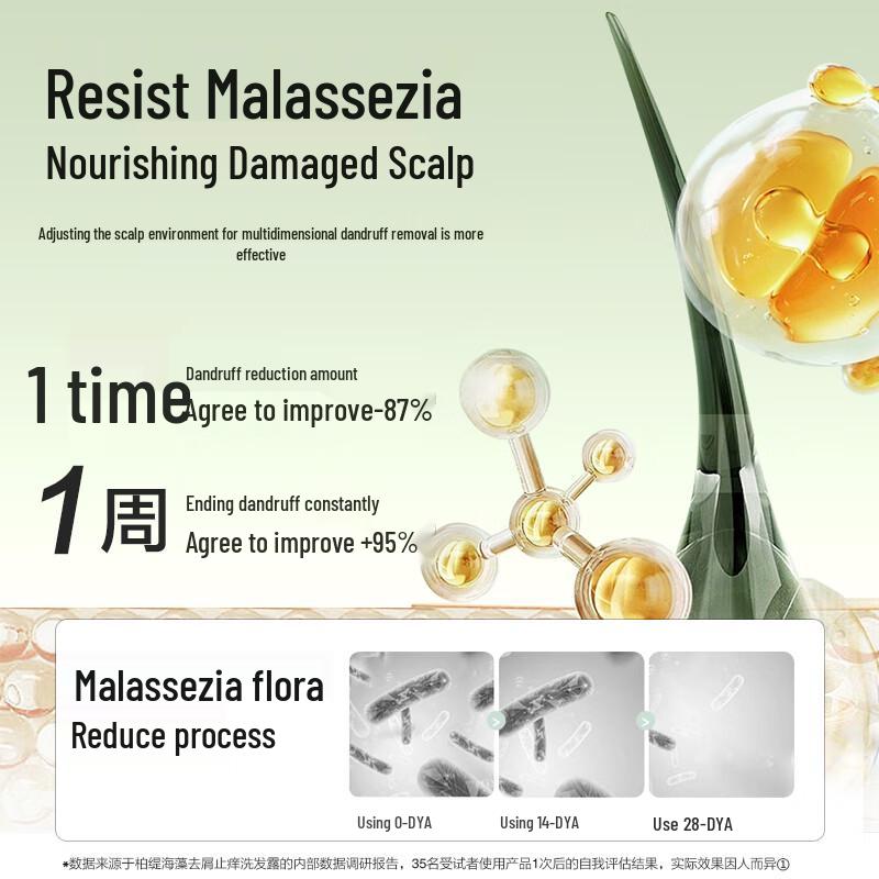 Baitie Seaweed Probiotic Anti-Dandruff Nourishing Shampoo