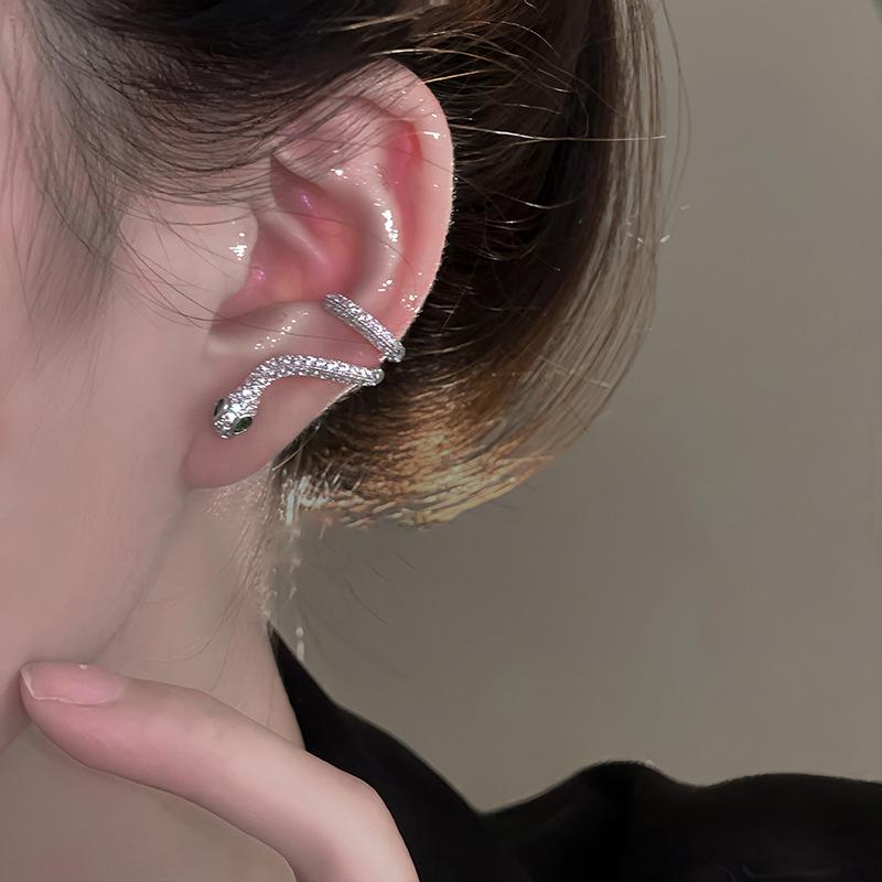 Silver needle zircon exquisite natal year snake earrings Korean ins niche design stud earrings women's high-end earrings