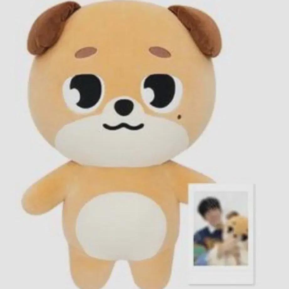 

Unopened) Day6 Giant Denimals Jamal