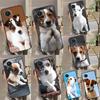 Jack Russell Terrier Dog Case For Honor 90 Lite 70 50 X9a X8a X7a X6a X7 X8 X9 9X 8X Magic 5 Pro Magic 5 Lite Cover