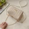 Yogodlns Fashionable Stylish Woven Straw Women's Bag New Trendy Chain Handbag Simple Woven Shoulder Crossbody Bag