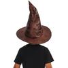Harry Potter Sorting Hat Costume Accessory
