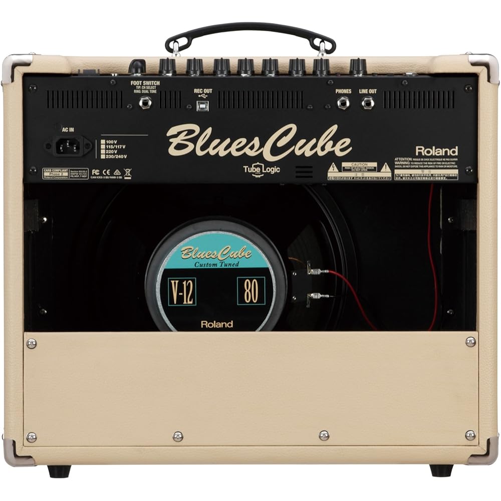 Roland/Blues Cube Stage Roland 60W Guitar Combo Amp Blues Cube