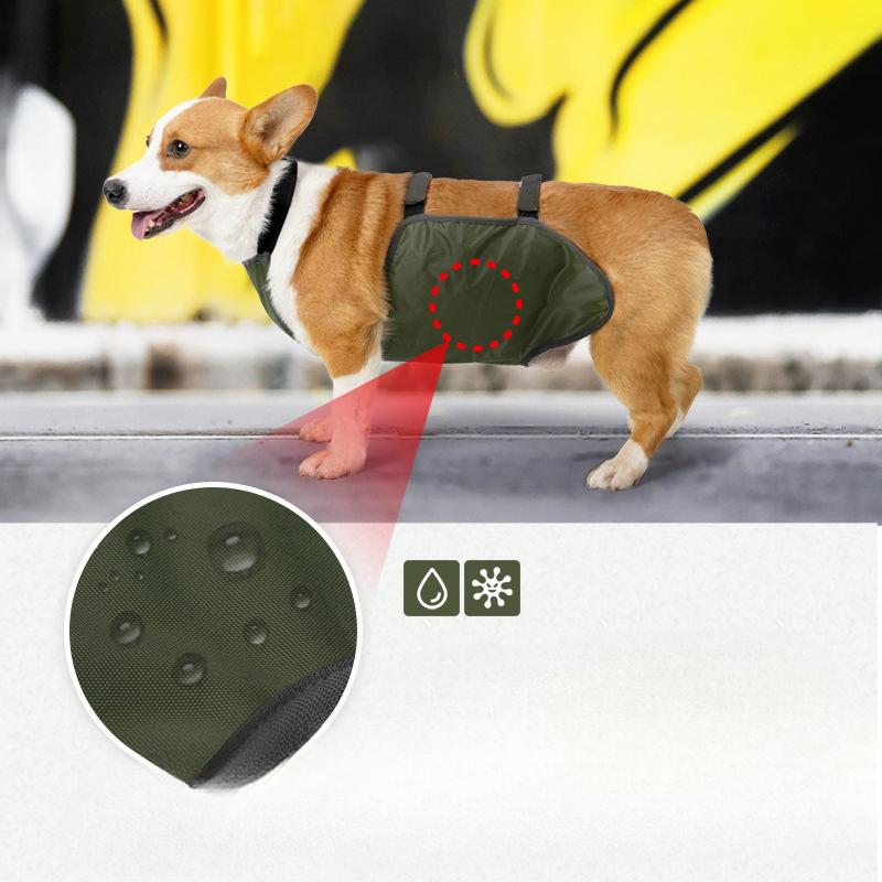 Summer Dog Belly Bands Prevent Colds, Dirt, Stains and Water. They Are Breathable and Not Stuffy