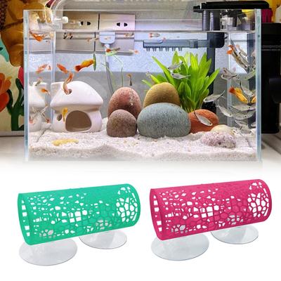 Fische & Meerestiere – Aquarien-Einrichtung