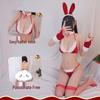 Bunny Girl Role Play Lingerie Set