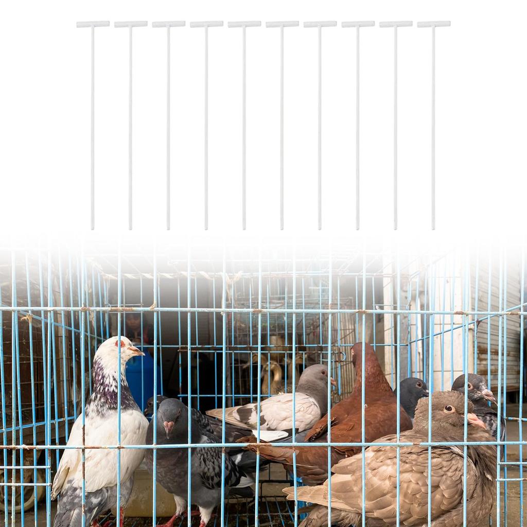 10pcs/pcs Dove Birds Holder T Pigeon Door Wire Bar for Bird Cage