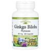 iHerb Natural Factors Ginkgo Biloba Phytosome 60mg Capsules, 60 Counts