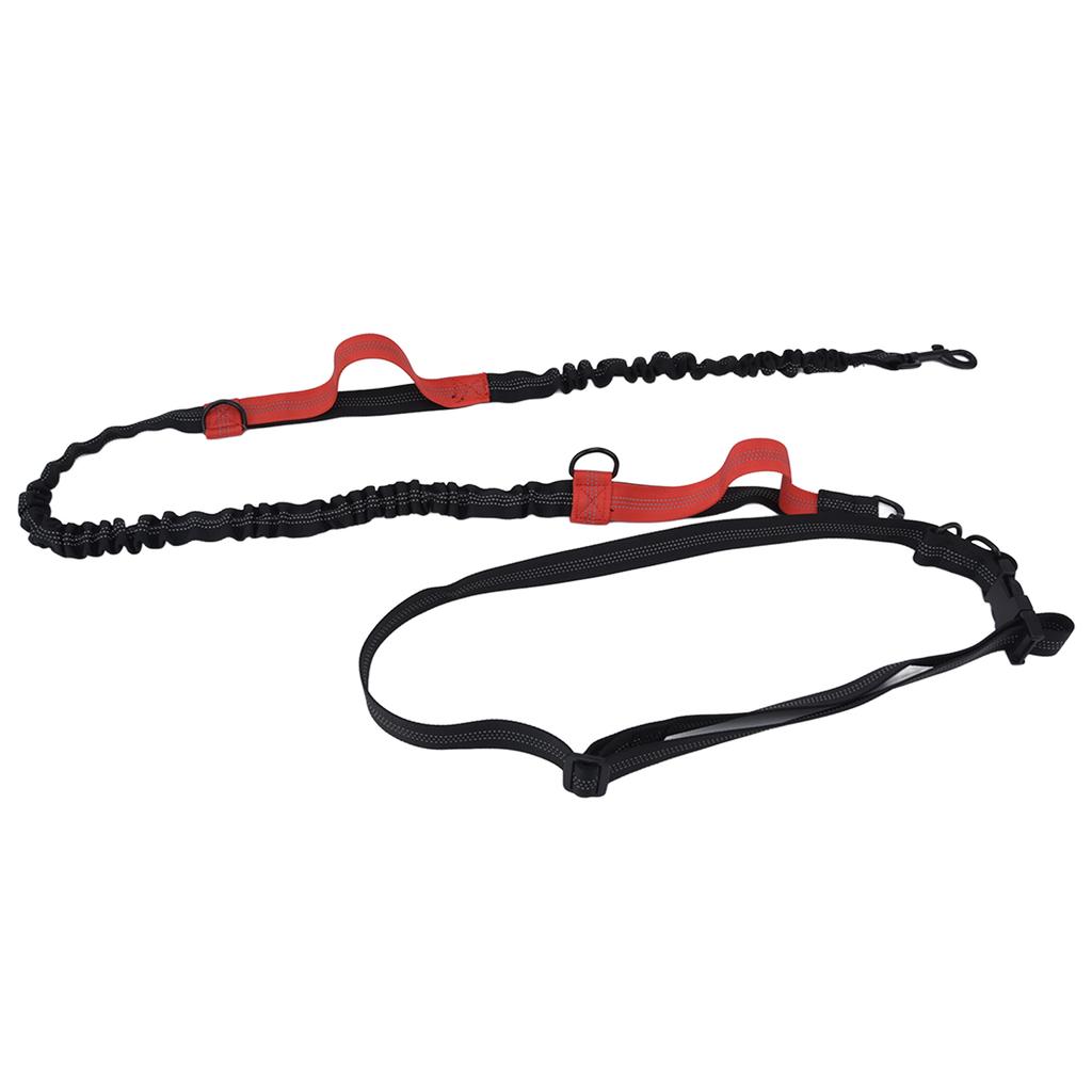 Haustierleine Reflektierend Einziehbar Tragbar Verstellbar Hunde Traktionsseil für Haustiere Hunde Rot