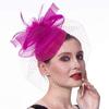 Ženy Dívky Mesh Fascinators Hat Cocktail Party Čelenka Čelenka Svatební klobouk