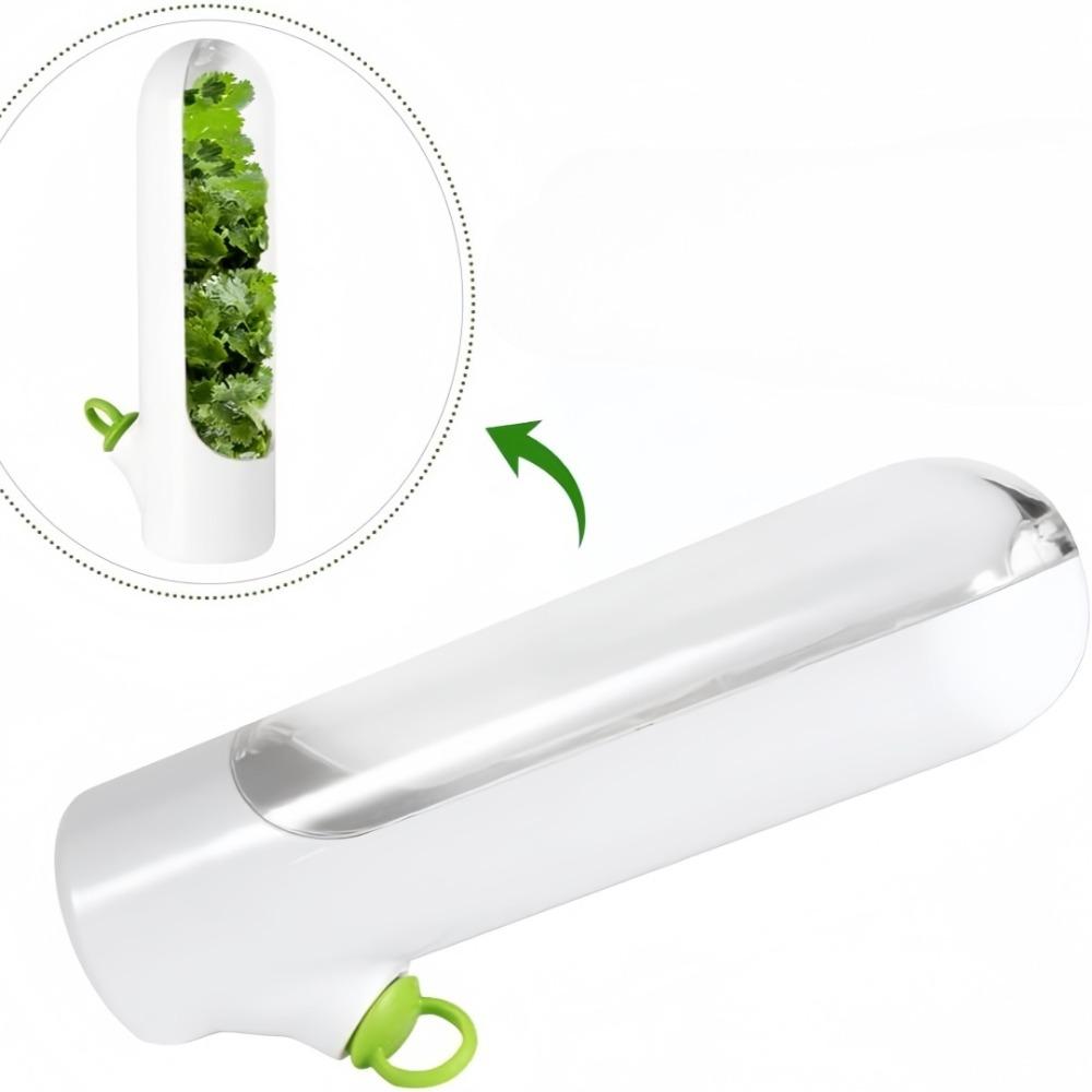 Vegetable Preservation Box Plastic Cylindrical Anti Pressure Environmentally Friendly Cup For Organizadores Storage Containers