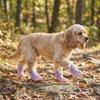4PCS Anti-Slip Pet Mesh Boots Adjustable Pet Paw Protector Wear-resistant Dog Sneakers  Rainy Days