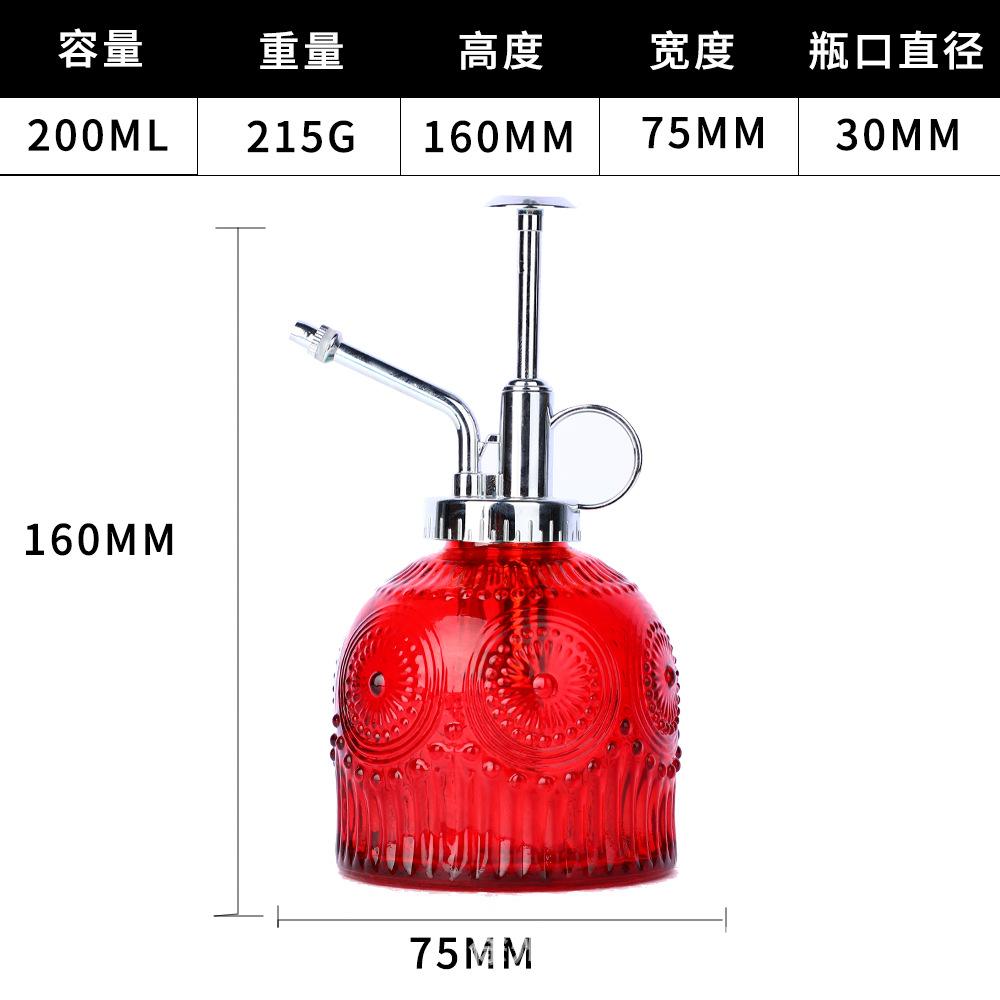 European Colorful Embossed Glass Watering Can Home Gardening Watering Sprinkler Kettle Succulent Plant Spray Can Gardening Decor