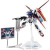 TAMASHII NATIONS ROBOT Spirits Gundam SEED AQM/E-X01 Strike Gundam Figure Painted Poseable 15th Anniversary Edition