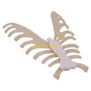 W89C Human Sternum Model Human Skeleton Model for Anatomy Medicals Teaching Model