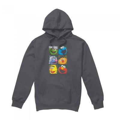Sesame Street Unisex Adult Grid Photos Hoodie