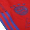 adidas x Crossover Fcb Hu Tr Pnt Bayern Munich Soccer/Football Sports Long Pants Red Men's GK7838