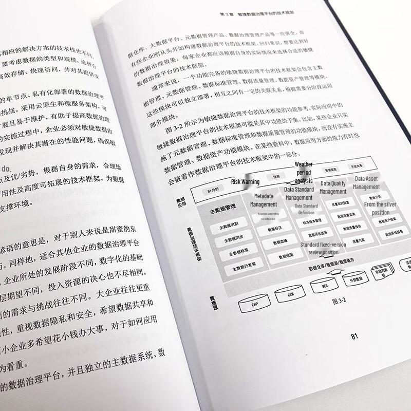 Data Governance Practitioner's Handbook