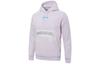 Sweatshirts Men's Purple Hooded Moderate Regular 536305-17