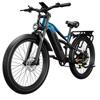PULUMA PE86 Electric Bike, 500W Motor, 48V 20Ah Battery, 26 X 3.0 Inch Tires, 150 Km Range