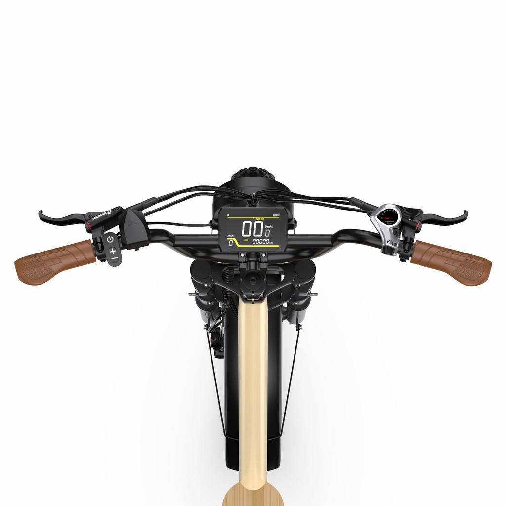 ONESPORT W77 Electric Bike - 48V 250W Motor, 90km Range, 20"x4.0" Tires, Hydraulic Brakes, Bluetooth Support for Urban Commute