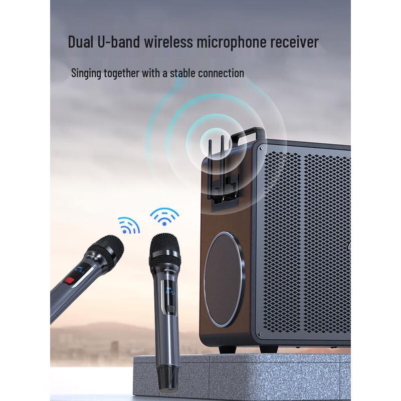 SANSUI C9 All-in-One Portable KTV Speaker System