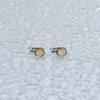 Silver Earrings with Citrine Nano 4.058ct (1962510)