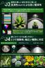 [Recommended by Green Advisor] BRIM COSMO 22W Plant Grow Light, Full Spectrum, High PPFD, High Power Factor, High Color Rendering, Energy-Saving Desig