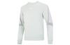 Sweatshirts Men's Light Green Crew Neck Moderate Regular HK4564