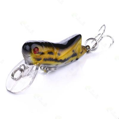 Pesca – Wobblers, esche e ami
