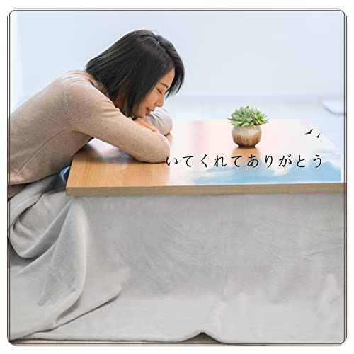 Dura-dry Kotatsu Comforter, Thin, Space-Saving, Square, Flannel Fabric, Anti-Static, Warm, Non-Shedding, 180*180cm