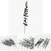 Grünes Eukalyptus Citriodora Blatt Künstliche Blumenanordnung Für Geschenk Und Innendekoration