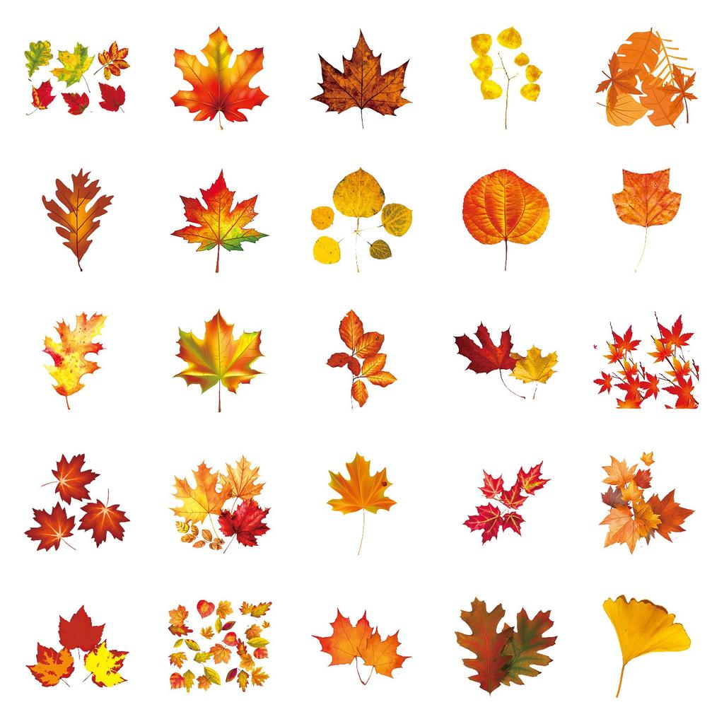 50τεμ Κίτρινα Φύλλα Αυτοκόλλητα Αυτοκόλλητα Ευχαριστιών Φθινοπωρινά Φύλλα Φυτά Αυτοκόλλητα Καρτούν Δημιουργικά Αδιάβροχα Διακοσμητικά Αυτοκόλλητα για Υπολογιστή, Φορητό Υπολογιστή, Αυτοκόλλητα Κόλλας