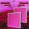 Full Spectrum 25W/45W/65W Greenhouse Indoor Seedling Grow Light